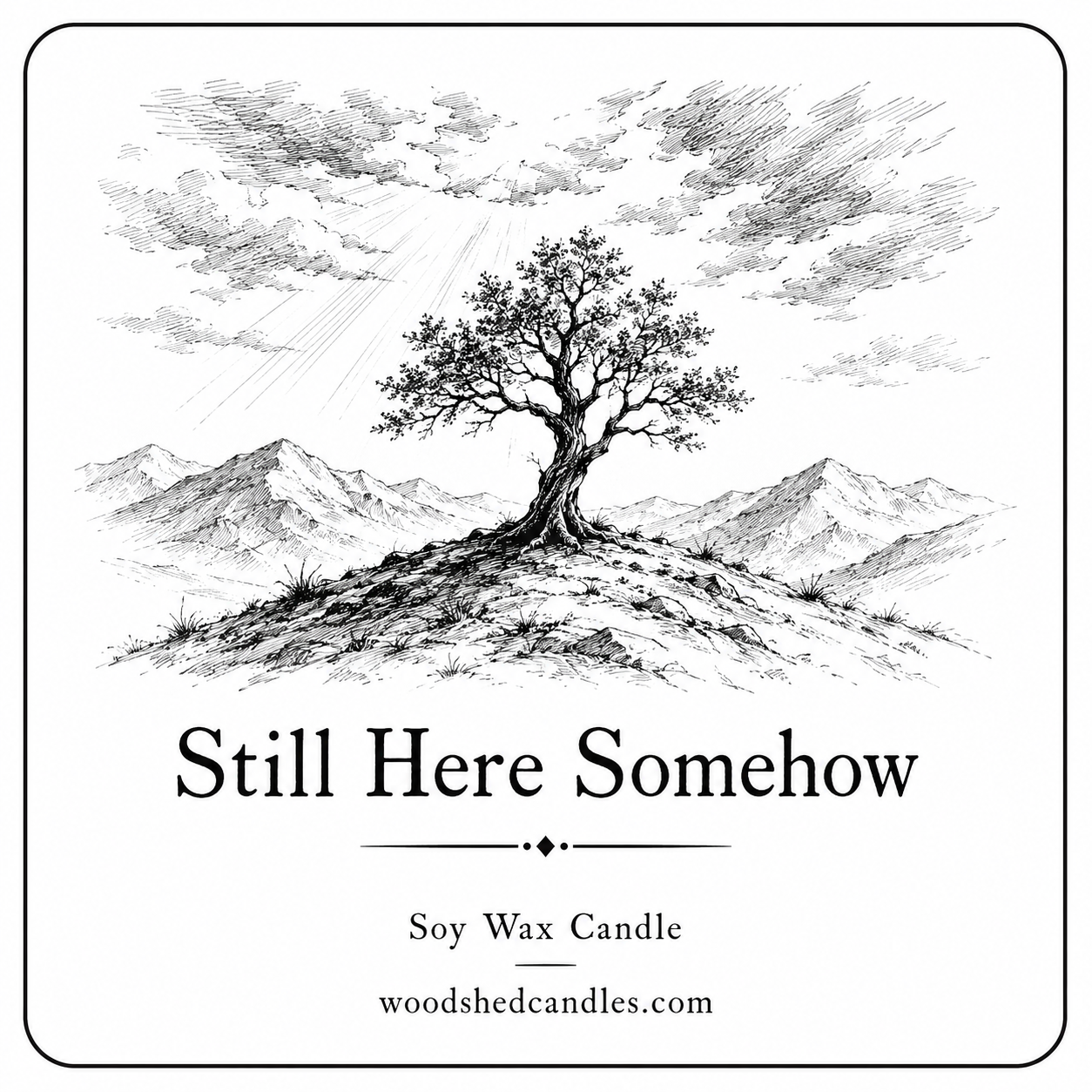 Still Here Somehow