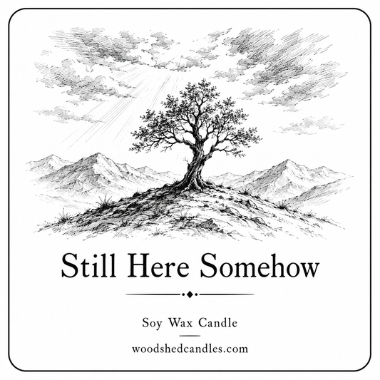 Still Here Somehow